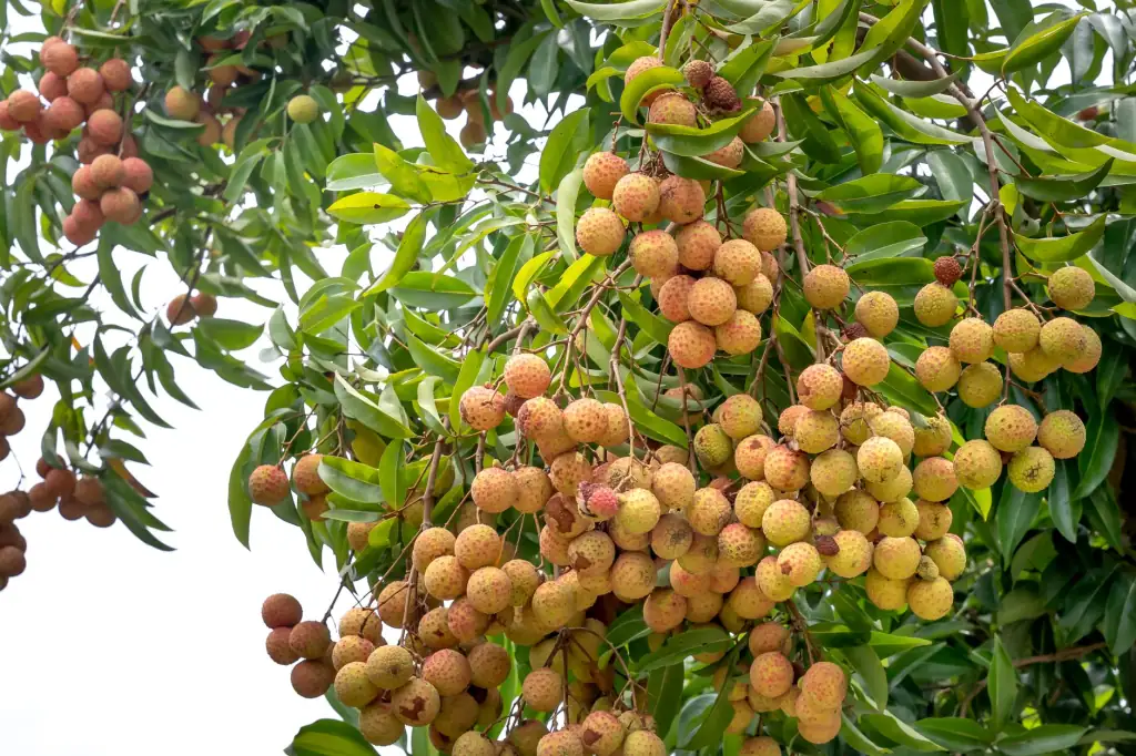 导轨电源在自动化设备中的EMC设计规范与常见问题解析